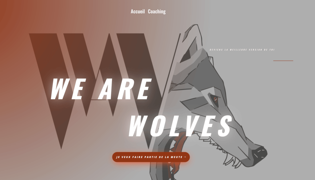 site internet we are wolves zidiconsulting